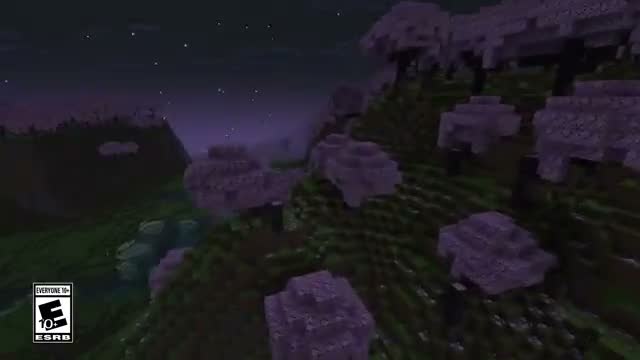 VIBRANT VISUALS & CHASE THE SKIES